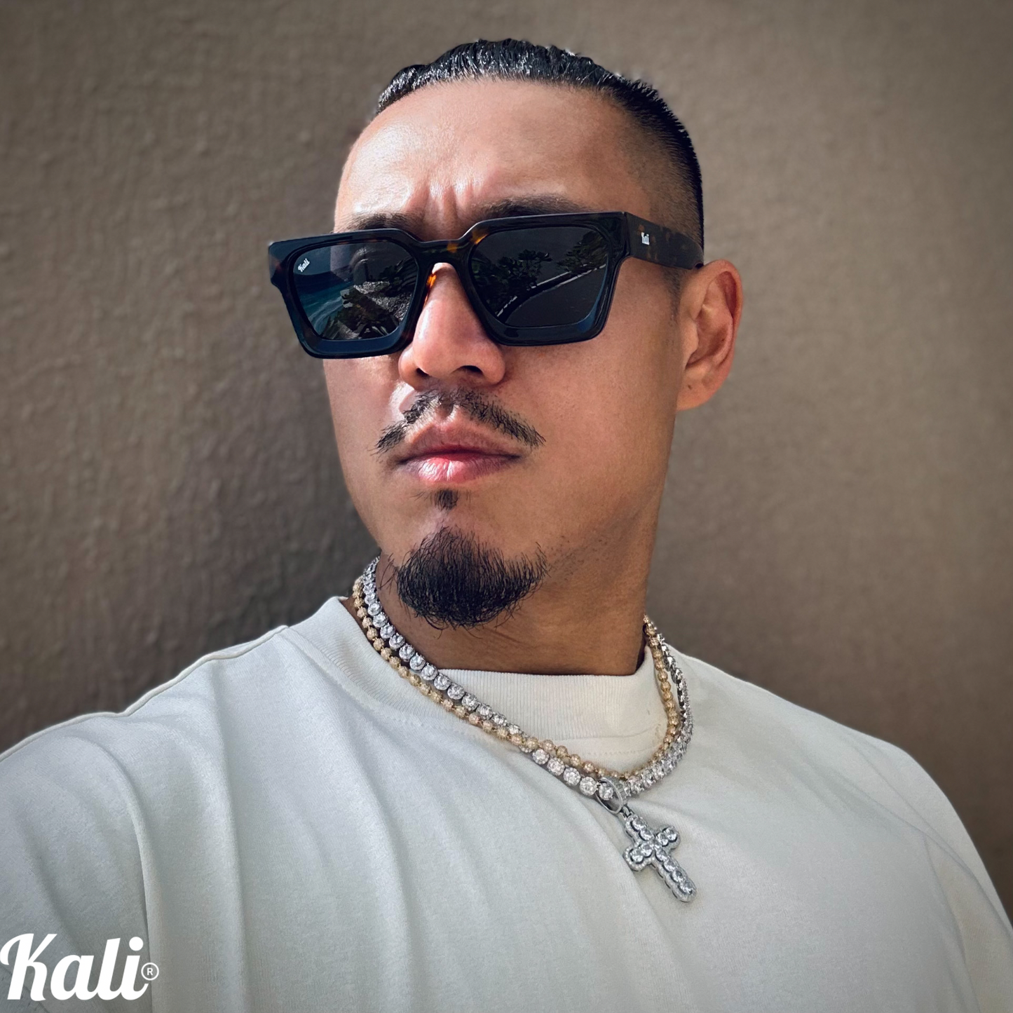 The Nemesis Leapord (POLARIZED)